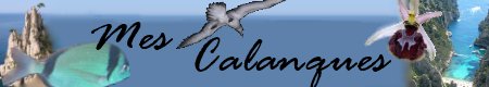Mes calanques / Le site de Gut