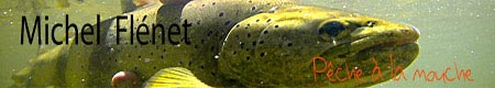 Le site de Michel Flenet (Michou) / montage de mouches de pche / photos de pche  la mouche