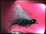 Montage d'une mouche sche en cul de canard