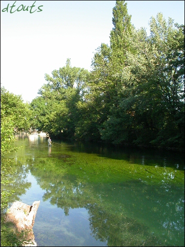 La Sorgue / pche de la truite et de l'ombre commun en rivire