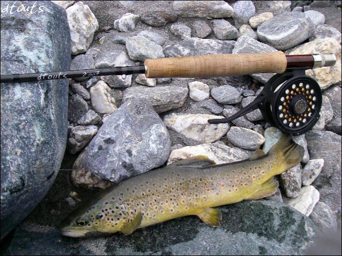 truite fario / Pcheur : dtouts / Technique de pche : Nymphe au fil (NAF) / Rivire : Guil / Photographe : dtouts